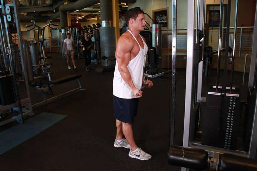 reverse grip triceps pushdown grafikler erkek 2 orig - Trisep Egzersizleri