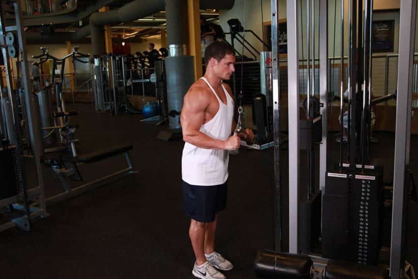 triceps pushdown v bar ile grafikler erkek 1 orig - Trisep Egzersizleri