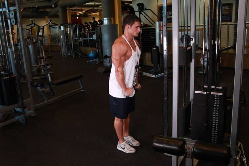 triceps pushdown v bar ile grafikler erkek 2 orig - Trisep Egzersizleri